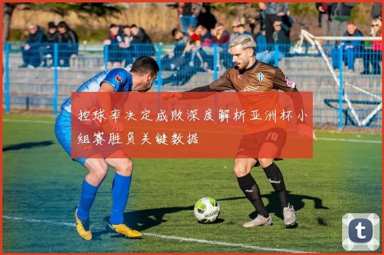 控球率决定成败深度解析亚洲杯小组赛胜负关键数据