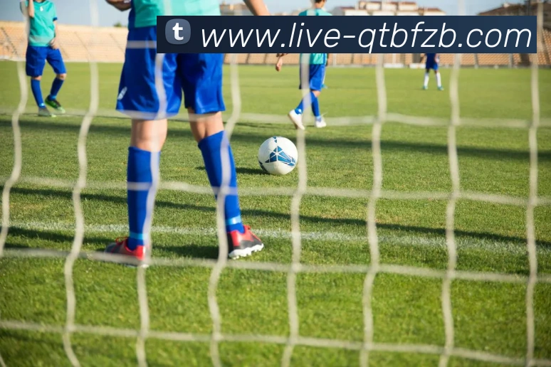 球探比分直播平台生态图